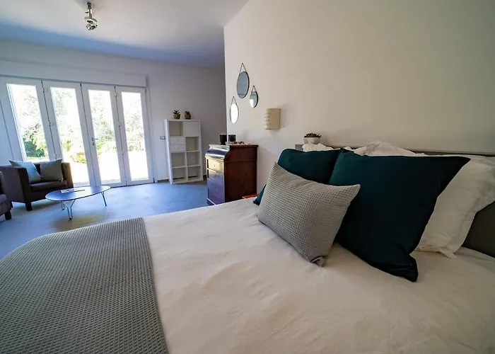 Magnifique Maison Vu 5 Ch 维琪奥港